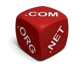 Domain Name Profit