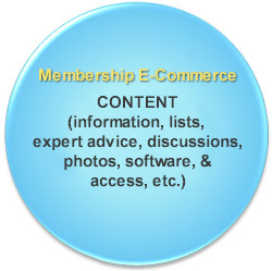 Internet business selling content charging membership fee